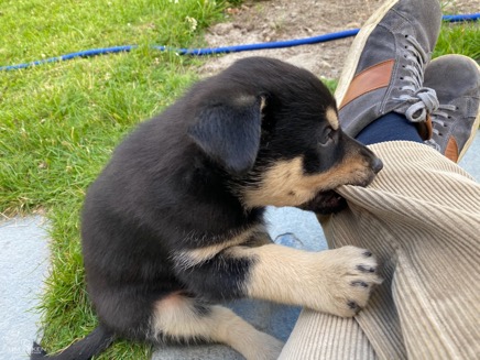 NorwegenUnterwegs-34 - 9.jpeg